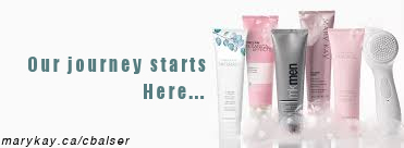 mary kay skin care